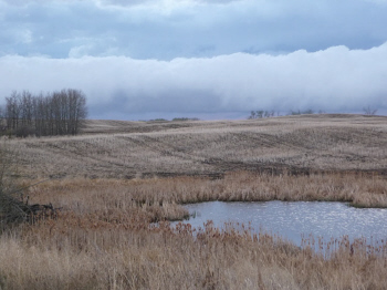 wall_of_clouds.jpg (52227 bytes)