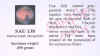 http://www.catchafallingstar.com/images/ebay/sau130card.jpg (68065 bytes)