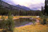 colbymeadow1.jpg (162052 bytes)